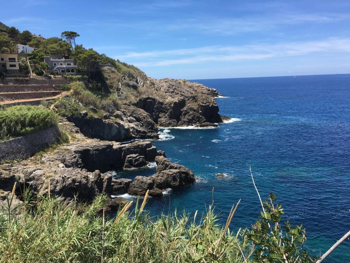 Hotel Sa Coma Banyalbufar Dış mekan fotoğraf