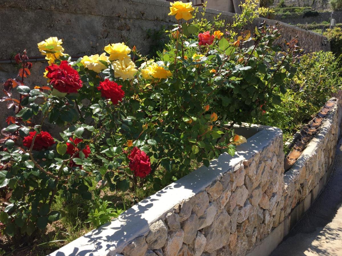 Hotel Sa Coma Banyalbufar Dış mekan fotoğraf